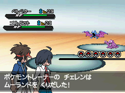 Gua Pokmon B2W2