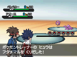 Gua Pokmon B2W2