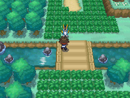 Gua Pokmon B2W2