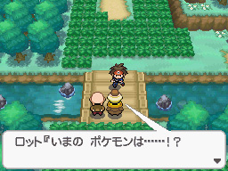 Gua Pokmon B2W2