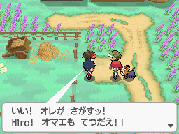 Gua Pokmon B2W2
