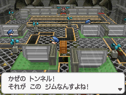Gua Pokmon B2W2