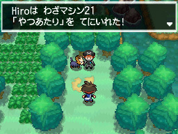 Gua Pokmon B2W2