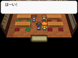 Gua Pokmon B2W2