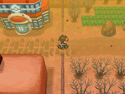 Gua Pokmon B2W2
