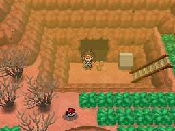 Gua Pokmon B2W2