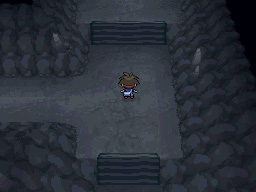 Gua Pokmon B2W2