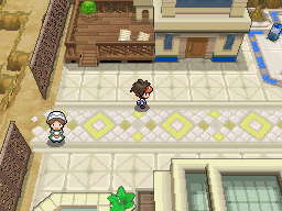 Gua Pokmon B2W2