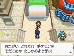 Gua Pokmon B2W2