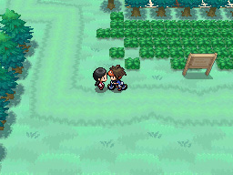 Gua Pokmon B2W2