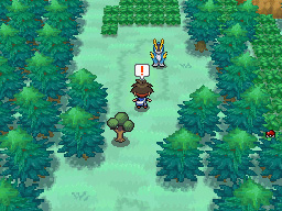 Gua Pokmon B2W2