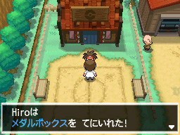 Gua Pokmon B2W2