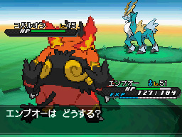 Gua Pokmon B2W2