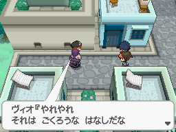 Gua Pokmon B2W2