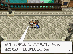 Gua Pokmon B2W2