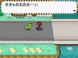 Gua Pokmon B2W2
