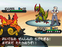 Gua Pokmon B2W2