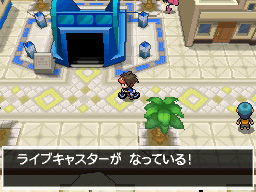 Gua Pokmon B2W2