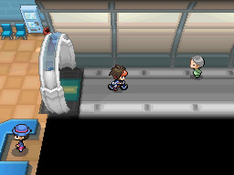 Gua Pokmon B2W2