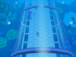 Gua Pokmon B2W2
