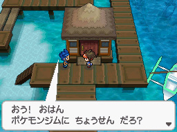 Gua Pokmon B2W2