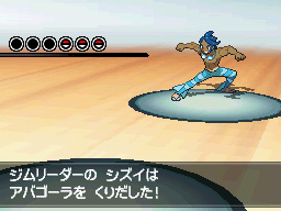 Gua Pokmon B2W2