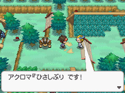 Gua Pokmon B2W2