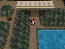 Gua Pokmon B2W2