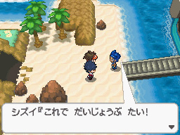 Gua Pokmon B2W2