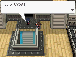 Gua Pokmon B2W2