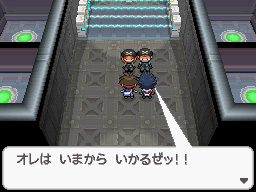 Gua Pokmon B2W2