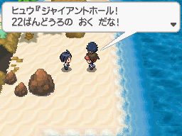 Gua Pokmon B2W2