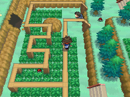 Gua Pokmon B2W2