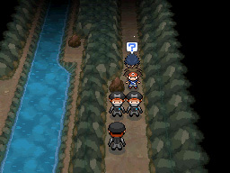 Gua Pokmon B2W2