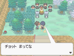 Gua Pokmon B2W2