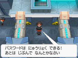 Gua Pokmon B2W2
