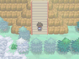 Gua Pokmon B2W2
