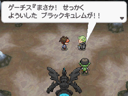 Gua Pokmon B2W2