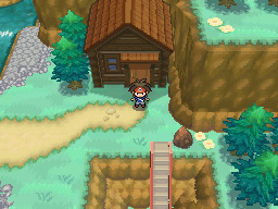 Gua Pokmon B2W2