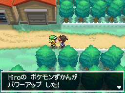 Gua Pokmon B2W2