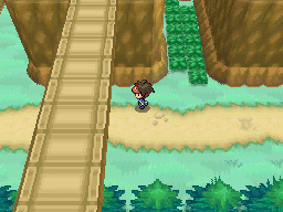 Gua Pokmon B2W2