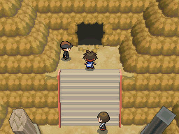 Gua Pokmon B2W2
