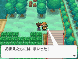 Gua Pokmon B2W2