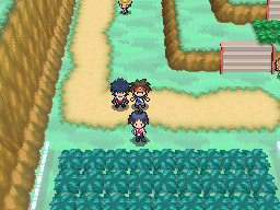 Gua Pokmon B2W2