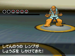 Gua Pokmon B2W2