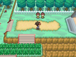 Gua Pokmon B2W2