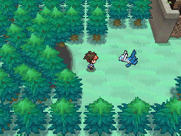 Gua Pokmon B2W2