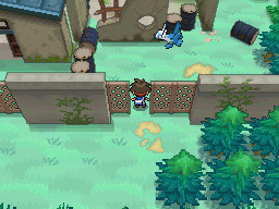 Gua Pokmon B2W2