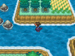 Gua Pokmon B2W2