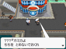 Gua Pokmon B2W2